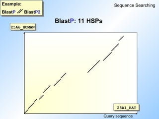 BlastP: 11 HSPs
Example:
BlastP BlastP2
Sequence Searching
25A1_RAT
Query sequence
25A6_HUMAN
 