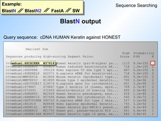 Example:
BlastN BlastN2 FastA SW
BlastN output
Sequence Searching
Query sequence: cDNA HUMAN Keratin against HONEST
Smallest Sum
High Probability
Sequences producing High-scoring Segment Pairs: Score P(N) N
>>>emhum1:HSCHIKER M37818 Human keratin (psi-K-alpha) ps... 1115 8.5e-252 5
>>>emhum1:HSKERUV X05803 Human radiated keratinocyte mR... 718 1.0e-105 2
>>>emhum1:HSEPKER J00124 Homo sapiens 50 kDa type I epi... 687 4.2e-105 4
>>>emhum1:HSKERELP X62571 H.sapiens mRNA for keratin-rel... 718 5.4e-105 2
>>>emrod:MMKTEPIA M13806 Mouse keratin (epidermal) type... 691 9.3e-101 2
>>>emrod:MMKTEPIC M13805 Mouse type I epidermal keratin... 700 2.0e-96 2
>>>emhum1:HSCYTOK17 Z19574 H.sapiens gene for cytokeratin... 651 3.2e-90 3
>>>emhum2:S79867 S79867 type I keratin 16 [human, epid... 709 2.7e-87 2
>>>emhum2:S72493 S72493 keratin=keratin 16 homolog [hu... 693 2.3e-86 2
>>>emhum1:HSKERP2 M22928 Human keratin pseudogene, exon... 624 1.1e-85 3
>>>emhum1:HSKERC15 X07696 Human mRNA for cytokeratin 15.... 560 3.3e-72 2
>>>emhum2:HSTYPIKER X90763 H.sapiens mRNA for type I kera... 527 2.1e-56 2
>>>emhum1:HS1K14 M28646 Homo sapiens epidermal keratin... 745 3.2e-52 1
>>>emhum2:HSPK161 M37817 Human keratin psi-K#16-1 pseud... 480 6.2e-49 2
>>>emhum1:HSKERI6 M21755 Human pot. pseudo-keratin K16 ... 651 6.6e-46 1
>>>emhum1:HSKER16A6 M28437 Human keratin type 16 gene, ex... 642 3.8e-45 1
 
