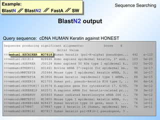 Example:
BlastN BlastN2 FastA SW
BlastN2 output
Sequence Searching
Query sequence: cDNA HUMAN Keratin against HONEST
Sequences producing significant alignments: Score E
(bits) Value
>>>emhum1:HSCHIKER M37818 Human keratin (psi-K-alpha) pseudogen... 442 e-122
>>>emhum1:HS1K14 M28646 Homo sapiens epidermal keratin, 3' end.. 103 5e-20
>>>emhum1:HSEPKER J00124 Homo sapiens 50 kDa type I epidermal k.. 103 5e-20
>>>emmam:BTKERVII X01461 Bovine mRNA 3'-region for epidermal ke.. 96 1e-17
>>>emrod:MMKTEPIB J02644 Mouse type I epidermal keratin mRNA, 3.. 96 1e-17
>>>emrod:MMKTEPIA M13806 Mouse keratin (epidermal) type I mRNA,.. 88 3e-15
>>>emhum1:HSKERI6 M21755 Human pot. pseudo-keratin K16 type I, .. 84 4e-14
>>>emhum1:HSCYTOK17 Z19574 H.sapiens gene for cytokeratin 17. 6/93. 78 3e-12
>>>emhum1:HSKERELP X62571 H.sapiens mRNA for keratin-related pr... 78 3e-12
>>>emhum1:HSKERUV X05803 Human radiated keratinocyte mRNA 266 (.. 78 3e-12
>>>emrod:MMKTEPIC M13805 Mouse type I epidermal keratin mRNA, c.. 76 1e-11
>>>emhum1:HSKER16A6 M28437 Human keratin type 16 gene, exon 6 .... 76 1e-11
>>>emhum2:S79867 S79867 type I keratin 16 [human, epidermal ker. 76 1e-11
>>>emhum2:HSPK161 M37817 Human keratin psi-K#16-1 pseudogene, 3 .
 