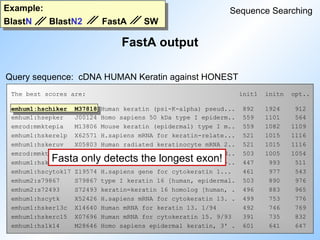 Example:
BlastN BlastN2 FastA SW
FastA output
Sequence Searching
Query sequence: cDNA HUMAN Keratin against HONEST
The best scores are: init1 initn opt..
emhum1:hschiker M37818 Human keratin (psi-K-alpha) pseud... 892 1924 912
emhum1:hsepker J00124 Homo sapiens 50 kDa type I epiderm.. 559 1101 564
emrod:mmktepia M13806 Mouse keratin (epidermal) type I m.. 559 1082 1109
emhum1:hskerelp X62571 H.sapiens mRNA for keratin-relate... 521 1015 1116
emhum1:hskeruv X05803 Human radiated keratinocyte mRNA 2.. 521 1015 1116
emrod:mmktepic M13805 Mouse type I epidermal keratin mRN.. 503 1005 1054
emhum1:hskerp2 M22928 Human keratin pseudogene, exons 2-.. 447 993 511
emhum1:hscytok17 Z19574 H.sapiens gene for cytokeratin 1... 461 977 543
emhum2:s79867 S79867 type I keratin 16 [human, epidermal. 503 890 976
emhum2:s72493 S72493 keratin=keratin 16 homolog [human, . 496 883 965
emhum1:hscytk X52426 H.sapiens mRNA for cytokeratin 13. . 499 753 776
emhum1:hsker13c X14640 Human mRNA for keratin 13. 1/94 492 746 769
emhum1:hskerc15 X07696 Human mRNA for cytokeratin 15. 9/93 391 735 832
emhum1:hs1k14 M28646 Homo sapiens epidermal keratin, 3' . 601 641 647
Fasta only detects the longest exon!
 