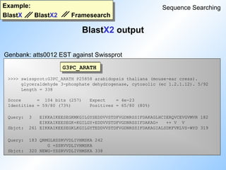 Example:
BlastX BlastX2 Framesearch
>>>> swissprot:G3PC_ARATH P25858 arabidopsis thaliana (mouse-ear cress).
glyceraldehyde 3-phosphate dehydrogenase, cytosolic (ec 1.2.1.12). 5/92
Length = 338
Score = 104 bits (257) Expect = 4e-23
Identities = 59/80 (73%) Positives = 65/80 (80%)
Query: 3 EIKKAIKEESEGKMKGILGYSEDDVVSTDFVGDNRSSIFDAKAGLHCIERQVCEVGVMVR 182
EIKKAIKEESEGK+KGILGY+EDDVVSTDFVGDNRSSIFDAKAG+ ++ V V
Sbjct: 261 EIKKAIKEESEGKLKGILGYTEDDVVSTDFVGDNRSSIFDAKAGIALSDKFVKLVS-WYD 319
Query: 183 QRMGLHSSRVVDLIVHMSKA 242
G +SSRVVDLIVHMSKA
Sbjct: 320 NEWG-YSSRVVDLIVHMSKA 338
BlastX2 output
Sequence Searching
Genbank: atts0012 EST against Swissprot
G3PC_ARATH
 