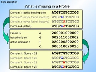What is missing in a Profile
Domain 1 (active binding site) ATGTCGTCGTCG
Domain 2 (never found, inactive) ATGTGGTCGTCG
Domain 3 (never found, inactive) ATGTCATCGTCG
Domain 4 (active) ATGTGATCGTCG
Gene prediction
Profile is A 200001000000
based only on G 002011002002
active domains ! T 020200200200
C 000010020020
Domain 1: Score = 22 ATGTCGTCGTCG
Domain 2: Score = 22 ATGTGGTCGTCG
Domain 3: Score = 22 ATGTCATCGTCG
Domain 4: Score = 22 ATGTGATCGTCG
 