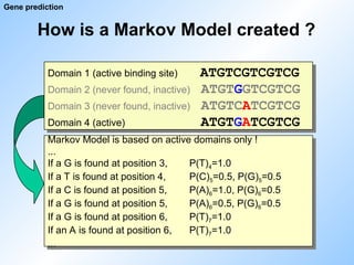 How is a Markov Model created ?
Gene prediction
Markov Model is based on active domains only !
...
If a G is found at position 3, P(T)4=1.0
If a T is found at position 4, P(C)5=0.5, P(G)5=0.5
If a C is found at position 5, P(A)6=1.0, P(G)6=0.5
If a G is found at position 5, P(A)6=0.5, P(G)6=0.5
If a G is found at position 6, P(T)7=1.0
If an A is found at position 6, P(T)7=1.0
...
Domain 1 (active binding site) ATGTCGTCGTCG
Domain 2 (never found, inactive) ATGTGGTCGTCG
Domain 3 (never found, inactive) ATGTCATCGTCG
Domain 4 (active) ATGTGATCGTCG
 
