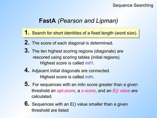 FastA (Pearson and Lipman)
Sequence Searching
1. Search for short identities of a fixed length (word size).
2. The score of each diagonal is determined.
3. The ten highest scoring regions (diagonals) are
rescored using scoring tables (initial regions).
Highest score is called init1.
4. Adjacent initial diagonals are connected.
Highest score is called initn.
5. For sequences with an initn score greater than a given
threshold an opt-score, a z-score, and an E() value are
calculated.
6. Sequences with an E() value smaller than a given
threshold are listed
 