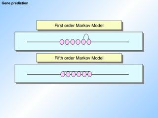 First order Markov Model
Gene prediction
Fifth order Markov Model
 