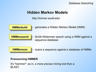 Hidden Markov Models
Database Searching
- generates a Hidden Markov Model (HMM)
- Smith-Waterman search using a HMM against a
sequence database
- scans a sequence against a database of HMMs
HMMerbuild
HMMersearch
HMMerscan
Pronouncing HMMER
It's "hammer": as in, a more precise mining tool than a
BLAST.
http://hmmer.wustl.edu/
 