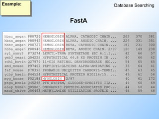 FastA
Database Searching
Example:
hbac_angan P80726 HEMOGLOBIN ALPHA, CATHODIC CHAIN... 263 370 381
hbaa_angan P80945 HEMOGLOBIN ALPHA, ANODIC CHAIN. ... 226 331 351
hbbc_angan P80727 HEMOGLOBIN BETA, CATHODIC CHAIN.... 187 231 300
hbba_angan P80946 HEMOGLOBIN BETA, ANODIC CHAIN. 2/97 120 149 238
syl_syny3 P73274 LEUCYL-TRNA SYNTHETASE (EC 6.1.1... 42 66 57
ymb3_yeast Q04228 HYPOTHETICAL 66.8 KD PROTEIN IN ... 40 66 42
rdh1_bovin Q27979 11-CIS RETINOL DEHYDROGENASE (EC... 54 65 65
amd_mouse P97467 PEPTIDYL-GLYCINE ALPHA-AMIDATING .. 36 64 41
faf_mouse P70398 PROBABLE UBIQUITIN CARBOXYL-TERMI.. 45 63 45
ycby_haein P44524 HYPOTHETICAL PROTEIN HI0116/15. ... 49 61 56
myg_horse P02188 MYOGLOBIN 2/97 40 61 172
ptga_brela Q45298 PTS SYSTEM, GLUCOSE-SPECIFIC IIA... 49 60 69
e6ap_human Q05086 ONCOGENIC PROTEIN-ASSOCIATED PRO... 44 60 44
mauf_thive Q56463 METHYLAMINE UTILIZATION PROTEIN ... 48 59 48
 