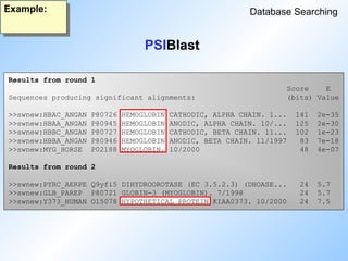 PSIBlast
Results from round 1
Score E
Sequences producing significant alignments: (bits) Value
>>swnew:HBAC_ANGAN P80726 HEMOGLOBIN CATHODIC, ALPHA CHAIN. 1... 141 2e-35
>>swnew:HBAA_ANGAN P80945 HEMOGLOBIN ANODIC, ALPHA CHAIN. 10/... 125 2e-30
>>swnew:HBBC_ANGAN P80727 HEMOGLOBIN CATHODIC, BETA CHAIN. 11... 102 1e-23
>>swnew:HBBA_ANGAN P80946 HEMOGLOBIN ANODIC, BETA CHAIN. 11/1997 83 7e-18
>>swnew:MYG_HORSE P02188 MYOGLOBIN. 10/2000 48 4e-07
Results from round 2
>>swnew:PYRC_AERPE Q9yfi5 DIHYDROOROTASE (EC 3.5.2.3) (DHOASE... 24 5.7
>>swnew:GLB_PAREP P80721 GLOBIN-3 (MYOGLOBIN). 7/1998 24 5.7
>>swnew:Y373_HUMAN O15078 HYPOTHETICAL PROTEIN KIAA0373. 10/2000 24 7.5
Database Searching
Example:
 