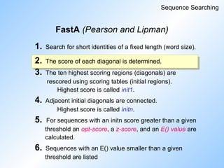 FastA (Pearson and Lipman)
Sequence Searching
1. Search for short identities of a fixed length (word size).
2. The score of each diagonal is determined.
3. The ten highest scoring regions (diagonals) are
rescored using scoring tables (initial regions).
Highest score is called init1.
4. Adjacent initial diagonals are connected.
Highest score is called initn.
5. For sequences with an initn score greater than a given
threshold an opt-score, a z-score, and an E() value are
calculated.
6. Sequences with an E() value smaller than a given
threshold are listed
 