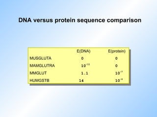 DNA versus protein sequence comparison
E(DNA) E(protein)
MUSGLUTA 0 0
MAMGLUTRA 10
-11
0
MMGLUT 1.1 10
-7
HUMGSTB 14 10
-6
 