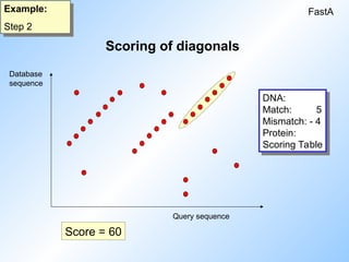 FastA
Example:
Step 2
Score = 60
Scoring of diagonals
DNA:
Match: 5
Mismatch: - 4
Protein:
Scoring Table
Database
sequence
Query sequence
 