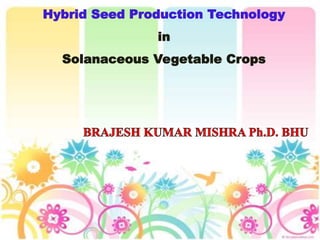 INTRODUCTION
Hybrid Seed Production Technology
in
Solanaceous Vegetable Crops
 