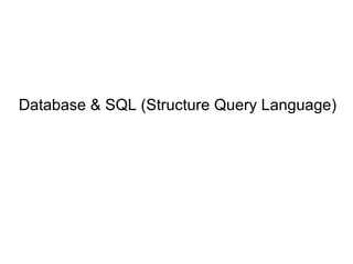 Database & SQL (Structure Query Language)
 