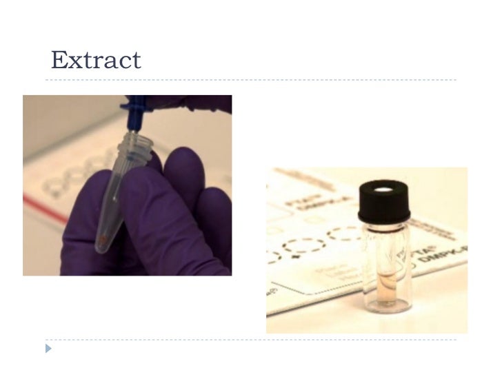 dry blood spotting technique,DBS