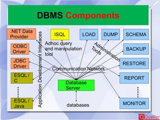 DBMS Components
Database
Server
ODBC
Driver
JDBC
Driver
.NET Data
Provider ISQL LOAD DUMP SCHEMA
REPORT
BACKUP
RESTORE
ESQL /
C
ESQL /
Java
MONITOR
Communication Network
ApplicationDevelopmentInterfaces
Adhoc query
and manipulation
tool
databases
 