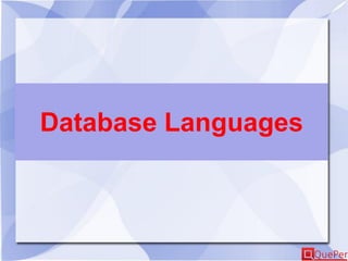 Database Languages
 