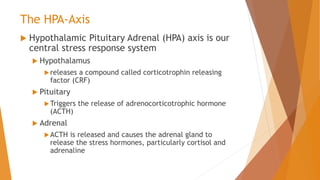 The HPA-Axis
 Hypothalamic Pituitary Adrenal (HPA) axis is our
central stress response system
 Hypothalamus
releases a compound called corticotrophin releasing
factor (CRF)
 Pituitary
Triggers the release of adrenocorticotrophic hormone
(ACTH)
 Adrenal
ACTH is released and causes the adrenal gland to
release the stress hormones, particularly cortisol and
adrenaline
 
