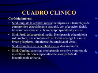 CUADRO CLINICO Carótida interna:   Sind. Sup. de la cerebral media : hemiparesia o hemiplejía de compromiso especialmente braquial, con afectación facial, trastorno sensorial en el hemicuerpo ipsilateral y visual. Sind. Prof. de la cerebral media : Hemiparesia o hemiplejía solo motora, que compromete de forma análoga la cara, el brazo y la pierna, sin afectación sensitiva ni visual. Sind. Completo de la cerebral media : dos anteriores. Sind. Cerebral anterior : monoparesia sensitiva y motora de miembros inferiores especialmente acompañada de incontinencia urinaria. 