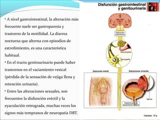 • A nivel gastrointestinal, la alteración más
frecuente suele ser gastroparesia y
trastorno de la motilidad. La diarrea
nocturna que alterna con episodios de
estreñimiento, es una característica
habitual.
• En el tracto genitourinario puede haber
trastornos en el vaciamiento vesical
(pérdida de la sensación de vejiga llena y
retención urinaria).
• Entre las alteraciones sexuales, son
frecuentes la disfunción eréctil y la
eyaculación retrograda, muchas veces los
signos más tempranos de neuropatía DBT.

 
