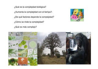 ¿Qué es la complejidad biológica?

¿Aumenta la complejidad con el tiempo?.

¿De qué factores depende la complejidad?

¿Cómo se mide la complejidad?

¿Qué es más complejo?
 