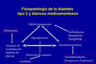 Fisiopatología de la diabetes
tipo 2 y blancos medicamentosos
Déficit betasecretor
Metformina
Hiperglucemia
Aumento de
la producción
hepática de
glucosa

Sulfonilureas
Repaglinida
Nateglinida
Insulinorresistencia

Absorción de azúcares

Acarbosa

Tiazolidinodionas
(Rosiglitazona, Pioglitazona)

 
