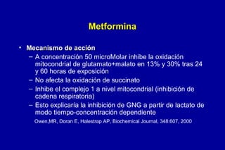 Metformina
• Mecanismo de acción
– A concentración 50 microMolar inhibe la oxidación
mitocondrial de glutamato+malato en 13% y 30% tras 24
y 60 horas de exposición
– No afecta la oxidación de succinato
– Inhibe el complejo 1 a nivel mitocondrial (inhibición de
cadena respiratoria)
– Esto explicaría la inhibición de GNG a partir de lactato de
modo tiempo-concentración dependiente
Owen,MR, Doran E, Halestrap AP, Biochemical Journal, 348:607, 2000

 