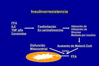 Insulinorresistencia
FFA
IL6
TNF alfa
Ceramidas

Fosforilación
En serina/treonina

Disfunción
Mitocondrial

Alteración de
Utilización de
Glucosa
Mediada por insulina

Aumento de Malonil CoA
Inhibe

FFA

 
