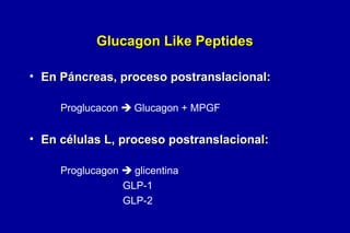 Glucagon Like Peptides
• En Páncreas, proceso postranslacional:
Proglucacon  Glucagon + MPGF

• En células L, proceso postranslacional:
Proglucagon  glicentina
GLP-1
GLP-2

 