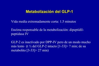 Metabolización del GLP-1
Vida media extremadamente corta: 1.5 minutos
Enzima responsable de la metabolización: dipeptidilpeptidasa IV
GLP-2 es inactivado por DPP-IV pero de un modo mucho
más lento (t ½ del GLP-2 intacto [1-33]= 7 min; de su
metabolito [3-33]= 27 min)

 