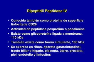 Dipeptidil Peptidasa IV
• Conocida también como proteína de superficie
linfocitaria CD26
• Actividad de peptidasa posprolina o posalanina
• Existe como glicoproteína ligada a membrana,
110 kDa
• También existe como forma circulante, 100 kDa
• Se expresa en riñon, aparato gastrointestinal,
tracto biliar e hígado, placenta, útero, próstata,
piel, endotelio y linfocitos

 