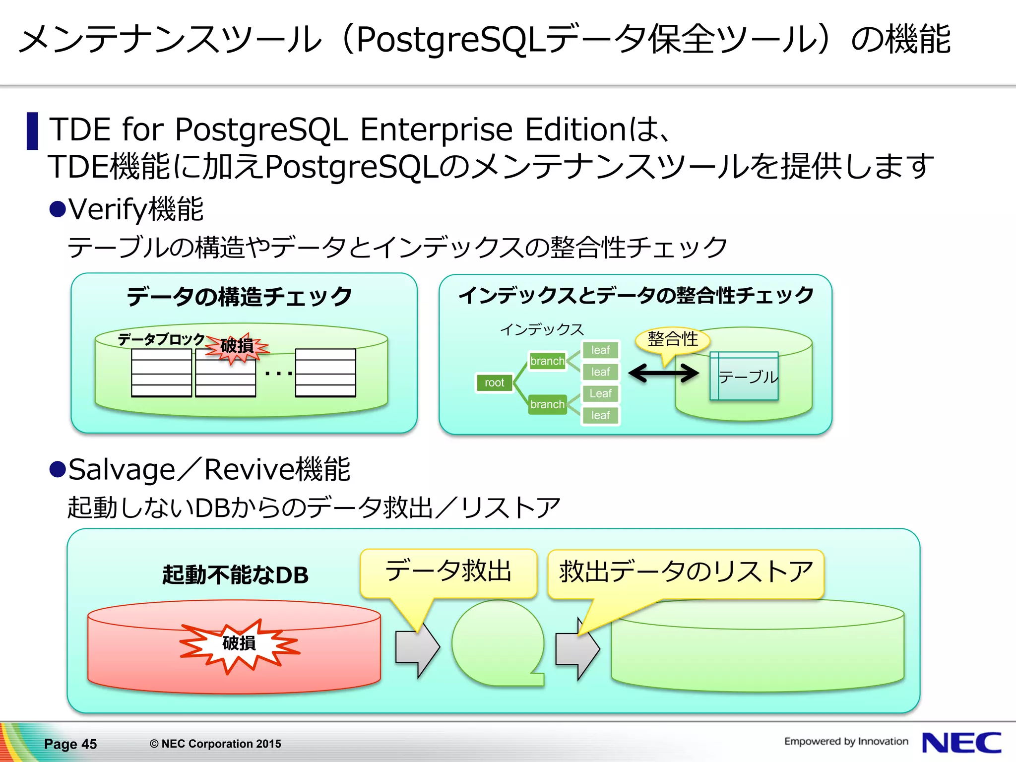 Page 45 © NEC Corporation 2015
▌TDE for PostgreSQL Enterprise Editionは、
TDE機能に加えPostgreSQLのメンテナンスツールを提供します
Verify機能
テーブルの構造やデータとインデックスの整合性チェック
Salvage／Revive機能
起動しないDBからのデータ救出／リストア
メンテナンスツール（PostgreSQLデータ保全ツール）の機能
root
branch
leaf
leaf
branch
Leaf
leaf
インデックスとデータの整合性チェック
テーブル
データの構造チェック
データブロック
破損
…
起動不能なDB
破損
データ救出 救出データのリストア
整合性
インデックス
 