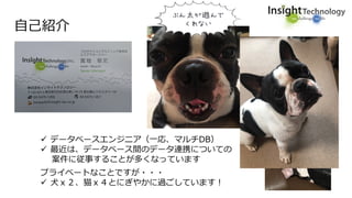 自己紹介
 データベースエンジニア（一応、マルチDB）
 最近は、データベース間のデータ連携についての
案件に従事することが多くなっています
プライベートなことですが・・・
 犬ｘ２、猫ｘ４とにぎやかに過ごしています！
 