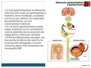A nivel gastrointestinal, la alteraci ón más frecunte suele ser gastroparesia y trastorno de la motilidad. La diarrea nocturna que alterna con episodios de estreñimiento, es una carácterística habitual. En el tracto genitourinario puede haber trastornos en el vaciamiento vesical (pérdida de la sensación de vejiga llena y retención urinaria). Entre las alteraciones sexuales, son frecuentes la disfunción eréctil y la eyaculación retrograda, muchas veces los signos más tempranos de neuropatía DBT. 