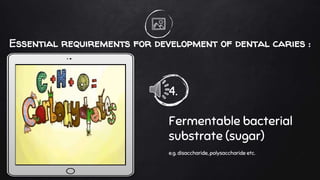 Essential requirements for development of dental caries :
4.
Fermentable bacterial
substrate (sugar)
e.g. disaccharide, polysaccharide etc.
 