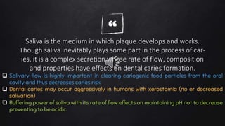“Saliva is the medium in which plaque develops and works.
Though saliva inevitably plays some part in the process of car-
ies, it is a complex secretion whose rate of flow, composition
and properties have effects on dental caries formation.
 Salivary flow is highly important in clearing cariogenic food particles from the oral
cavity and thus decreases caries risk.
 Dental caries may occur aggressively in humans with xerostomia (no or decreased
salivation)
 Buffering power of saliva with its rate of flow effects on maintaining pH not to decrease
preventing to be acidic.
 