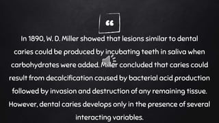 “In 1890, W. D. Miller showed that lesions similar to dental
caries could be produced by incubating teeth in saliva when
carbohydrates were added. Miller concluded that caries could
result from decalcification caused by bacterial acid production
followed by invasion and destruction of any remaining tissue.
However, dental caries develops only in the presence of several
interacting variables.
 