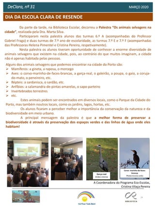 24
DeClara, nº 31 MARÇO 2020
Da parte da tarde, na Biblioteca Escolar, decorreu a Palestra “Os animais selvagens na
cidade”, realizada pela Dra. Marta Silva.
Participaram nesta palestra alunos das turmas 6.º A (acompanhadas do Professor
Gabriel Fraga) e duas turmas de 7.º ano de escolaridade, as turmas 7.º E e 7.º F (acompanhadas
das Professoras Helena Pimentel e Cristina Pereira, respetivamente).
Nesta palestra os alunos tiveram oportunidade de conhecer a enorme diversidade de
animais selvagens que existem na cidade, pois, ao contrário do que muitos imaginam, a cidade
não é apenas habitada pelas pessoas.
Alguns dos animais selvagens que podemos encontrar na cidade do Porto são:
➢ Mamíferos: a gineta, a raposa, o morcego
➢ Aves: o corvo-marinho-de-faces-brancas, a garça-real, o galeirão, a poupa, o gaio, a coruja-
do-mato, o peneireiro, etc.
➢ Répteis: a sardanisca, o sardão, etc.
➢ Anfíbios: a salamandra-de-pintas-amarelas, o sapo-parteiro
➢ Invertebrados terrestres
➢ etc.
Estes animais podem ser encontrados em diversos locais, como o Parque da Cidade do
Porto, mas também noutros locais, como os jardins, lagos, hortas, etc.
Os alunos ficaram a perceber melhor a importância da conservação da natureza e da
biodiversidade em meio urbano.
A principal mensagem da palestra é que a melhor forma de preservar a
biodiversidade é através da preservação dos espaços verdes e das linhas de água onde eles
habitam!
A Coordenadora do Programa Eco-Escolas,
Cristina Vilaça Pereira
Garça-real
Ardea cinerea
Corvo- marinho-de-faces-
brancas
Phalacrocorax carbo
DIA DA ESCOLA CLARA DE RESENDE
 