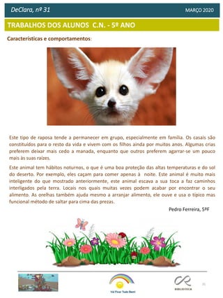 31
TRABALHOS DOS ALUNOS C.N. - 5º ANO
DeClara, nº 31 MARÇO 2020
Características e comportamentos:
Este tipo de raposa tende a permanecer em grupo, especialmente em família. Os casais são
constituídos para o resto da vida e vivem com os filhos ainda por muitos anos. Algumas crias
preferem deixar mais cedo a manada, enquanto que outros preferem agarrar-se um pouco
mais às suas raízes.
Este animal tem hábitos noturnos, o que é uma boa proteção das altas temperaturas e do sol
do deserto. Por exemplo, eles caçam para comer apenas à noite. Este animal é muito mais
inteligente do que mostrado anteriormente, este animal escava a sua toca a faz caminhos
interligados pela terra. Locais nos quais muitas vezes podem acabar por encontrar o seu
alimento. As orelhas também ajuda mesmo a arranjar alimento, ele ouve e usa o típico mas
funcional método de saltar para cima das prezas.
Pedro Ferreira, 5ºF
 