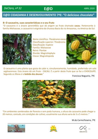 130
B- O cacaueiro, suas características e o seu fruto
“O cacaueiro é a árvore perenefólia que dá origem ao fruto chamado cacau. Pertencente à
família Malvaceae, o cacaueiro é originário da chuvosa Bacia do rio Amazonas, na América do Sul.
O cacaueiro é uma planta que gosta de calor e, simultaneamente, humidade, preferindo um solo
argiloarenoso. Esta árvore dá um fruto - CACAU. É a partir deste fruto que se faz o CHOCOLATE.
Segundo os Maias é a bebida dos deuses.”
“Em ambientes sombreados de floresta e sem poda humana, a altura do cacaueiro pode chegar a
20 metros; contudo, em condições de cultivo, usualmente sua altura varia de 3 a 5 metros .”
Nome científico: Theobroma cacao
Classificação superior: Theobroma
Classificação: Espécie
Família: Malvaceae
Reino: Plantae
Divisão: Magnoliophyta
Classe: Magnoliopsida
Francisca Nogueira, 7ºE
M.do CarmoTeixeira, 7ºE
DeClara, nº 32 ABRIL 2020E@D
E@D CIDADANIA E DESENVOLVIMENTO 7ºE: “O delicioso chocolate”
 