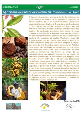 131
O Cacaueiro é uma planta arbórea da família das Malváceas, de
cujas sementes se extrai o cacau. São plantas originárias da
América Central e do Sul e o seu habitat localiza-se nas zonas
equatoriais húmidas do planeta. É uma planta de clima tropical
húmido. Nativo das florestas tropicais das bacias dos rios
Amazonas e Orinoco, o cacau é cultivado comercialmente nos
trópicos do continente americano, bem como na África
ocidental e na Ásia tropical. Em geral, o cacaueiro é plantado
em pequenas propriedades, à sombra dos dosséis das florestas
tropicais. Os cacaueiros da espécie Theobroma cacao são
árvores perenes, cuja altura varia entre seis e dez metros. Os
ramos, cobertos de pelos, possuem folhas alongadas e simples,
com cerca de 10 a 45 centímetros de comprimento. As folhas
mais antigas são eliminadas de tempos em tempos, sendo
substituídas por folhas jovens, que são vermelhas. As flores
inserem-se diretamente nos troncos e ramos, de cor
esbranquiçada ou avermelhada, dependendo da espécie. Os
frutos são grandes cápsulas, com formato oval alongado. Cada
“cápsula” contém entre 20 e 40 sementes (amêndoas),
mergulhadas numa polpa doce ácida, branca e pegajosa. O
cultivo do cacaueiro pode fazer-se por sementes ou via
vegetativa. A germinação é fácil e rápida e foi durante muitos
anos a única técnica usada. A polinização original da planta é
frequentemente cruzada. A colheita é feita duas vezes por ano
e os frutos são esmagados para deles se extraírem as sementes
(amêndoas) e a polpa. As sementes, secas e transformadas em
pó, originam o cacau. Sob a forma de bebida, o chocolate foi
introduzido na Europa no século XVI.
Tomás Ferreira, 7ºE)
DeClara, nº 32 ABRIL 2020E@D
E@D CIDADANIA E DESENVOLVIMENTO 7ºE: “O delicioso chocolate”
 
