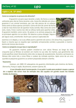 46
E@D C.N. 5º ANO
DeClara, nº 32 ABRIL 2020
Como se comporta na procura de alimento?
O guaxinim sai para caçar durante a noite. De forma a comer o
suficiente para não ter fome durante o dia. Como foi referido em cima o
guaxinim é um animal omnívoro, por isso não precisa de se esforçar
tanto como se fosse apenas carnívoro. Como ele tem de comer de forma
a não ter mais fome tem de apanhar muita comida. Mas como ele come
ovos, nozes, fruta e outros tais não se esforça tanto para apanhar estes.
O guaxinim também come carne. Os peixes e os animais pequenos são
os principais agentes na sua dieta. Ele observa a presa devagar. Segue-a
por águas rasas, arranhando. Assim que a presa é capturada ele
Como se comporta no que toca à reprodução?
Os guaxinins machos podem envolver-se com várias fêmeas ao longo da vida,
enquanto que as fêmeas só aceitam um macho na sua vida. Os machos, que geralmente são
muito pacíficos lutam ferozmente entre eles na época de acasalamento. Durante a primavera as
fêmeas têm entre três a cinco filhos e cuidam da ninhada sozinhas. Após cerca de um ano,
quando os pequenos guaxinins se sentem preparados deixam a família.
A sua situação atual é preocupante. A sua pele é usada para produzir roupas e apesar
de a espécie não correr risco de extinção eles são caçados em grande escala nos Estados
Unidos da América.
Pedro Ferreira, 5ºF
Taxonomia
Existiam, em 2005 22 subespécies de guaxinins distribuídos pela América do Norte,
Alemanha, França e Japão. Atualmente, existem apenas 20.
E@D
examina-a e ó depois, e se o seu olfato assim o permitir ele come-a. Em áreas frias, os guaxinins
fazem o mesmo que os esquilos (por exemplo) armazenando comida e passando o inverno
dentro de troncos das árvores.
 