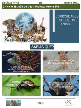45
E@D
DeClara nº 41 março 2021
1.º ciclo EB João de Deus: Projetos turma 3ºB
Continua…
 