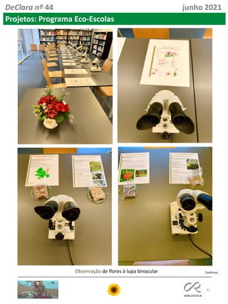81
DeClara nº 44 junho 2021
Projetos: Programa Eco-Escolas
Continua…
Observação de flores à lupa binocular
 