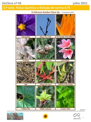 31
DeClara nº 45 julho 2021
A February Garden Close Up 27 de fevereiro 2021
Continua…
3.º ciclo. Físico-Química e Direção de turma 8.ºE
 