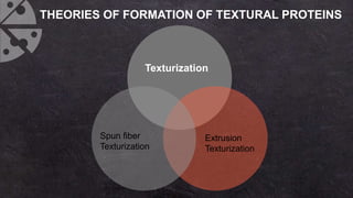 Protein Texturization Food Proteins | PPTX