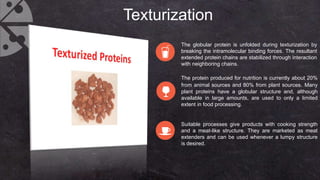 Protein Texturization Food Proteins | PPTX