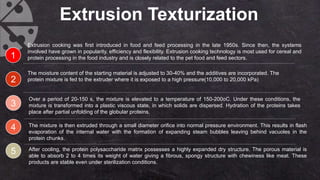Protein Texturization Food Proteins | PPTX