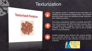 Protein Texturization Structure Food Proteins | PPTX
