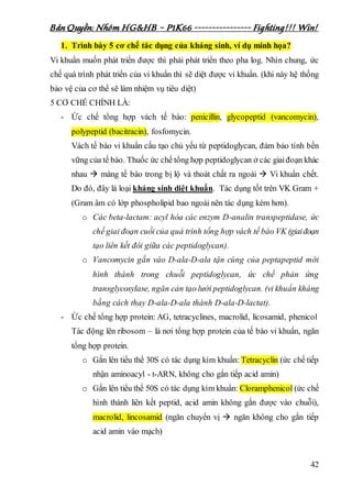 Bản Quyền: Nhóm HG&HB – P1K66 ---------------- Fighting!!! Win!
42
1. Trình bày 5 cơ chế tác dụng của kháng sinh, ví dụ minh họa?
Vi khuẩn muốn phát triển được thì phải phát triển theo pha log. Nhìn chung, ức
chế quá trình phát triển của vi khuẩn thì sẽ diệt được vi khuẩn. (khi này hệ thống
bảo vệ của cơ thể sẽ làm nhiệm vụ tiêu diệt)
5 CƠ CHẾ CHÍNH LÀ:
- Ức chế tổng hợp vách tế bào: penicillin, glycopeptid (vancomycin),
polypeptid (bacitracin), fosfomycin.
Vách tế bào vi khuẩn cấu tạo chủ yếu từ peptidoglycan, đảm bảo tính bền
vững của tế bào. Thuốc ức chế tổng hợp peptidoglycan ở các giaiđoạn khác
nhau  màng tế bào trong bị lộ và thoát chất ra ngoài  Vi khuẩn chết.
Do đó, đây là loại kháng sinh diệt khuẩn. Tác dụng tốt trên VK Gram +
(Gram âm có lớp phospholipid bao ngoài nên tác dụng kém hơn).
o Các beta-lactam: acyl hóa các enzym D-analin transpeptidase, ức
chế giai đoạn cuối của quá trình tổng hợp vách tế bào VK (giaiđoạn
tạo liên kết đôi giữa các peptidoglycan).
o Vancomycin gắn vào D-ala-D-ala tận cùng của peptapeptid mới
hình thành trong chuỗi peptidoglycan, ức chế phản ứng
transglycosylase, ngăn cản tạo lưới peptidoglycan. (vi khuẩn kháng
bằng cách thay D-ala-D-ala thành D-ala-D-lactat).
- Ức chế tổng hợp protein: AG, tetracyclines, macrolid, licosamid, phenicol
Tác động lên ribosom – là nơi tổng hợp protein của tế bào vi khuẩn, ngăn
tổng hợp protein.
o Gắn lên tiểu thể 30S có tác dụng kìm khuẩn: Tetracyclin (ức chế tiếp
nhận aminoacyl - t-ARN, không cho gắn tiếp acid amin)
o Gắn lên tiểu thể 50S có tác dụng kìm khuẩn: Cloramphenicol (ức chế
hình thành liên kết peptid, acid amin không gắn được vào chuỗi),
macrolid, lincosamid (ngăn chuyển vị  ngăn không cho gắn tiếp
acid amin vào mạch)
 