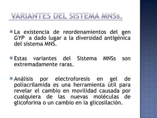 La existencia de reordenamientos del gen  GYP  a dado lugar a la diversidad antigénica del sistema MNS. Estas variantes del Sistema MNSs son extremadamente raras. Análisis por electroforesis en gel de poliacrilamida es una herramienta útil para revelar el cambio en movilidad causada por cualquiera de las nuevas moléculas de glicoforina o un cambio en la glicosilación.  